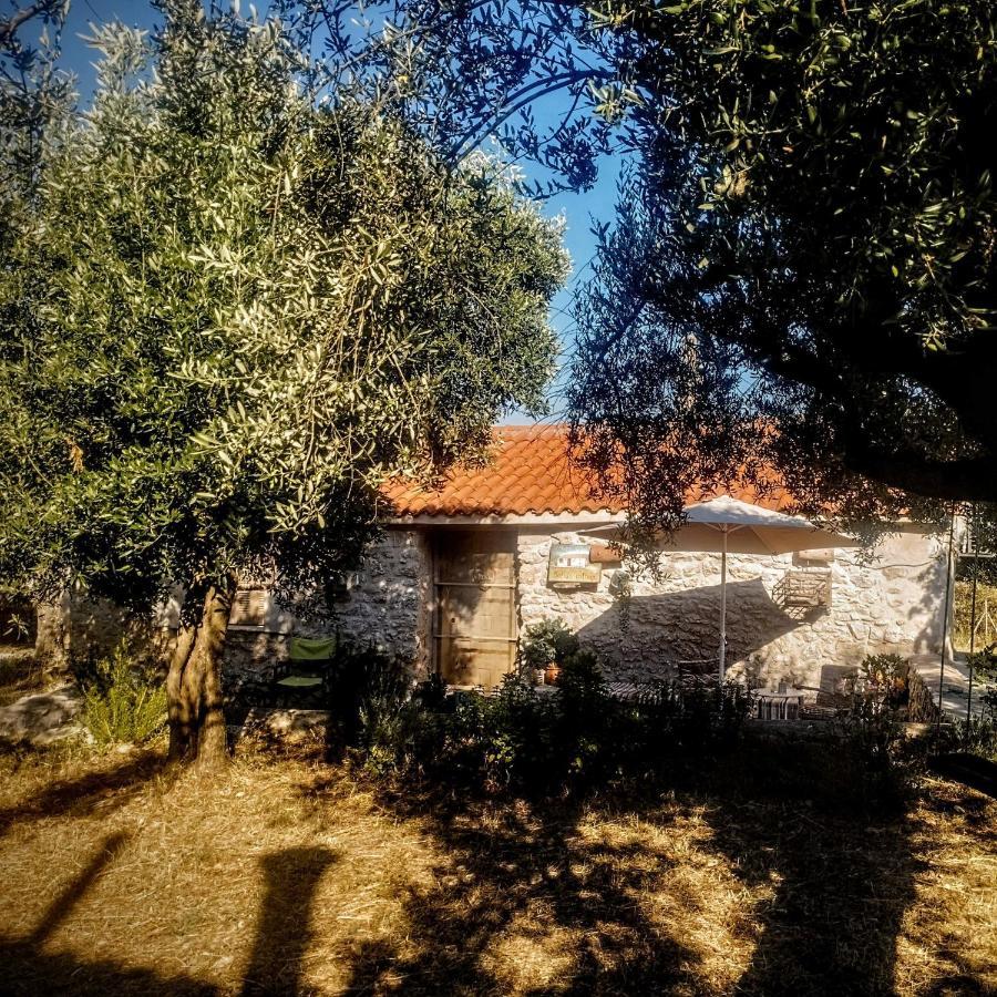 Sofias Cottage Ellinikón Exterior foto